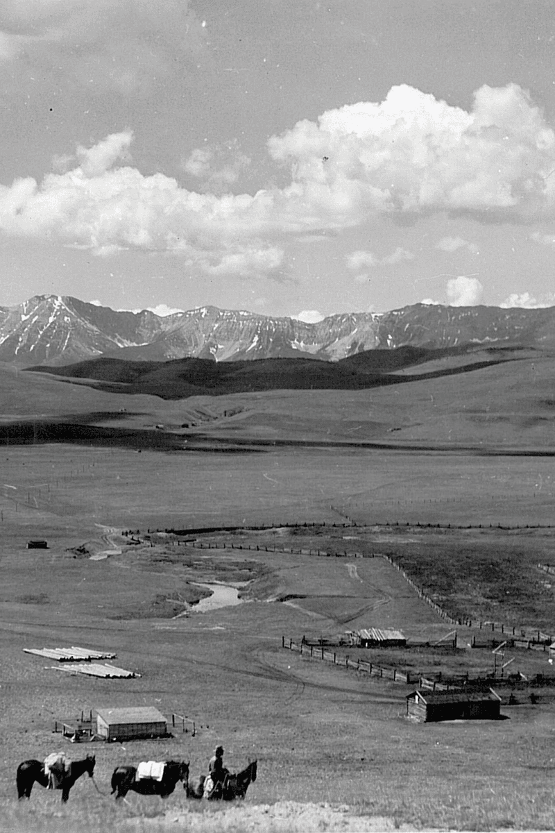 Cochrane vista