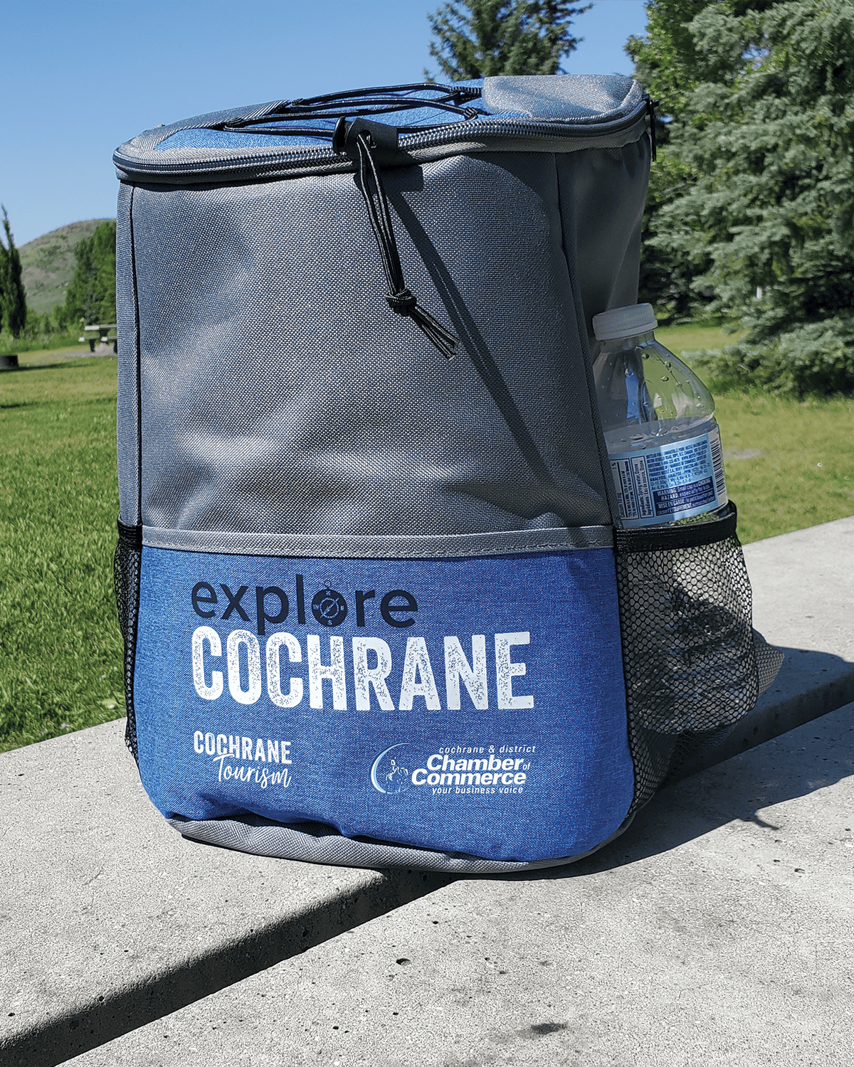 Cochrane Tourism Backpack